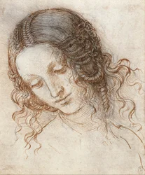 Tête de Léda